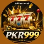 PKR999 Game pkr999 game pkr999 game download pkr999 game register